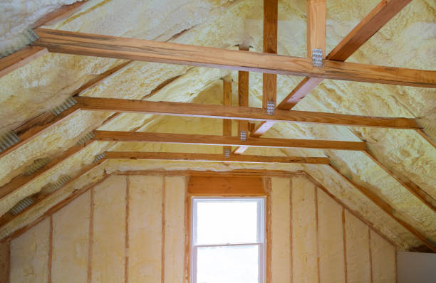Best Blown-in Insulation in Hidalgo, TX