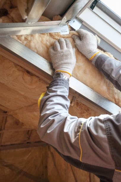 Types of Insulation We Offer in Hidalgo, TX