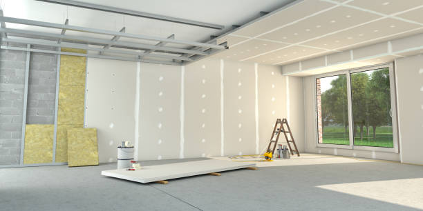 Best Geographic-Specific Insulation Services in Hidalgo, TX