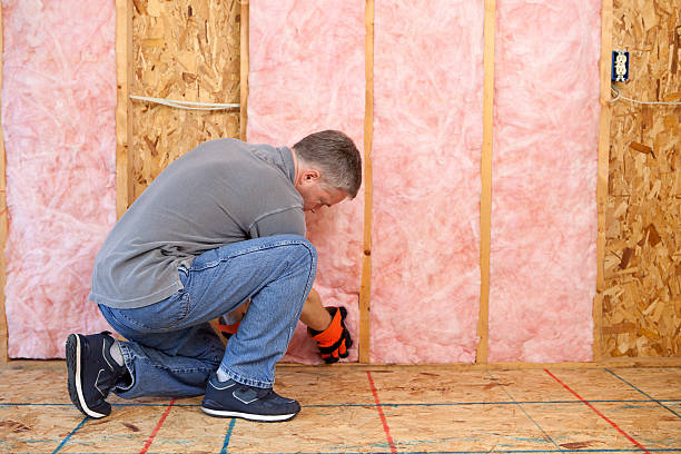 Best Specialized Insulation Services in Hidalgo, TX