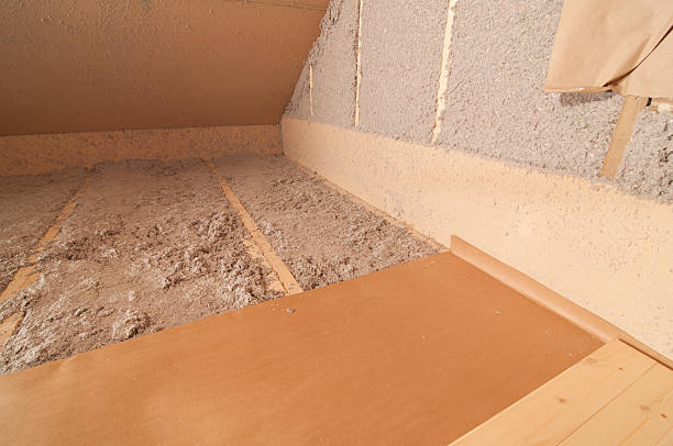 Best Eco-Friendly Insulation in Hidalgo, TX