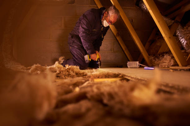 Best Spray Foam Insulation in Hidalgo, TX
